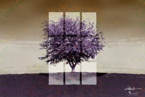 Window on a Purple Tree 3x2